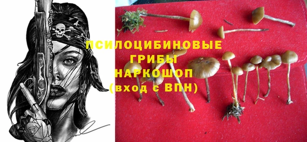 ГАЛЛЮЦИНОГЕННЫЕ ГРИБЫ Тихвин